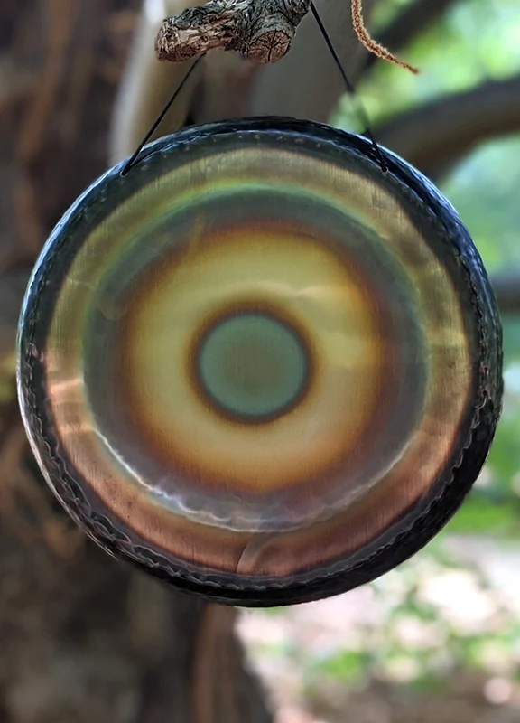 A Gong suspended from a Tree in a Forest